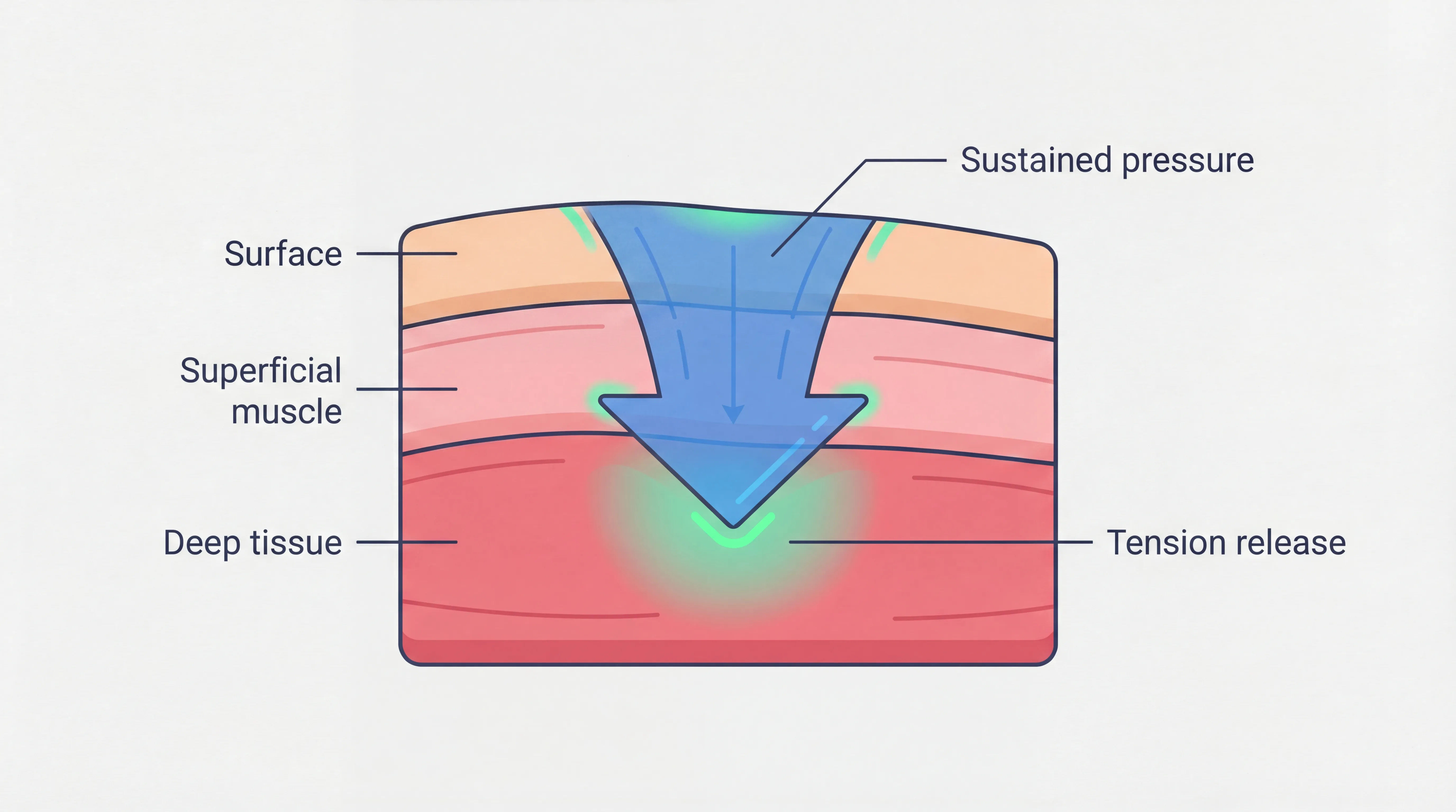 Diagram showing sustained pressure reaching deep muscle tissue for tension release